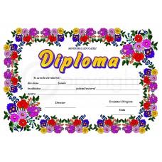 Diploma D2