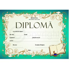 Diploma D6