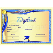 Diploma D8