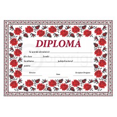 Diploma D10