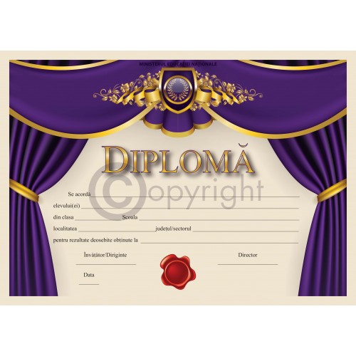 Diploma D11 2020