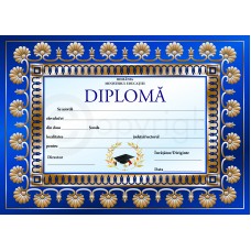 Diploma D7