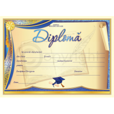 Diploma D8 2022
