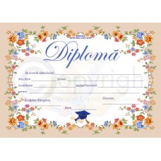 Diploma D8 2023