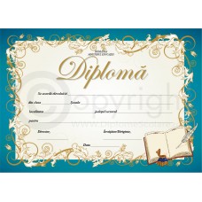 Diploma D6 2023