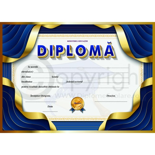 Diploma D7 2023