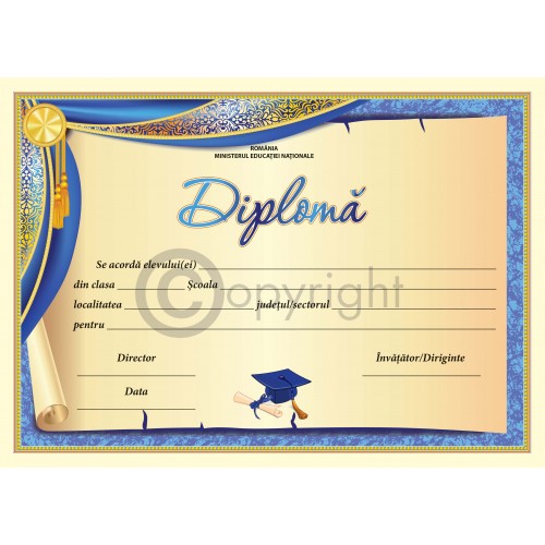 Diploma D2 2019