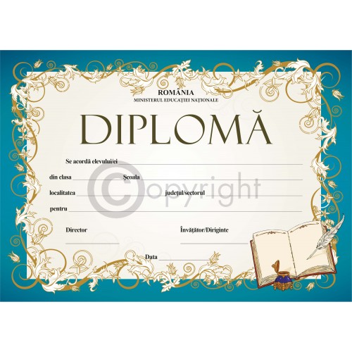 Diploma D6 2019