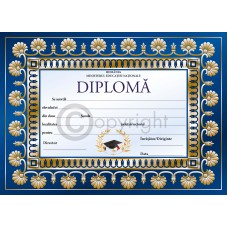 Diploma D7 2019