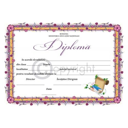 Diploma D8 2019