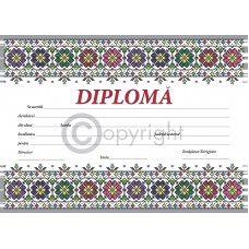 Diploma D9 2019