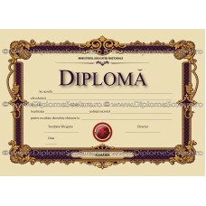 Diploma D11 2019
