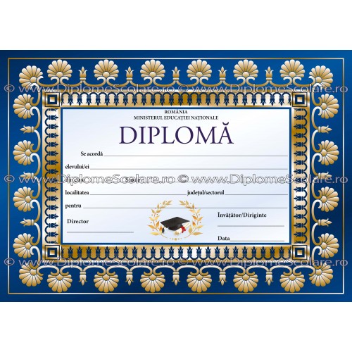 Diploma D7 2017